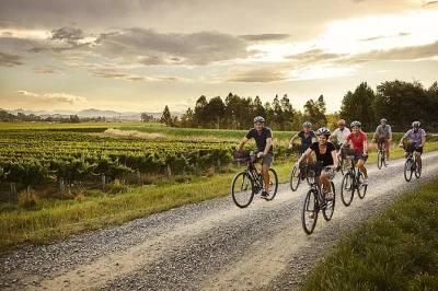 Entdecke marlboroughs weinberge auf eigene faust – mit fahrradverleih, wein-karte und abholung vor ort. genieße verkostungen, gin-proben und van-support.