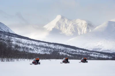 Erlebe schneemobilfahrten im tamokdalen, entdecke die tromsø ice domes und triff rentiere mit einem lokalen guide. inkl. transfer, warmem mittagessen und kompletter winterausrüstung.