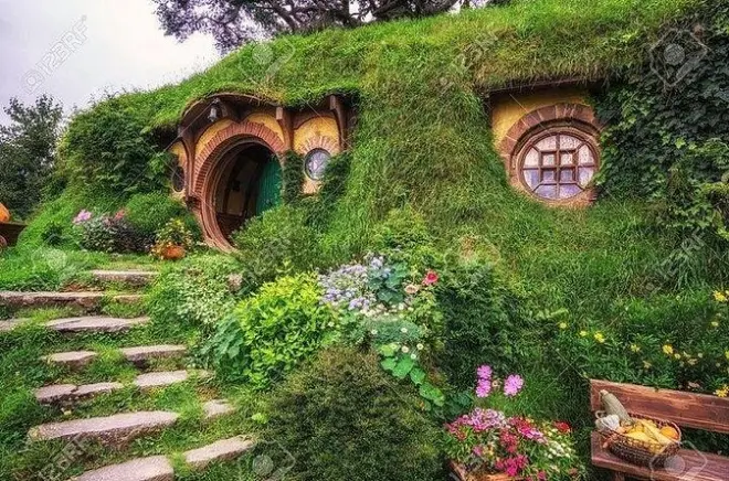 Hobbiton e grotte di Waitomo da Auckland con trasporto di lusso