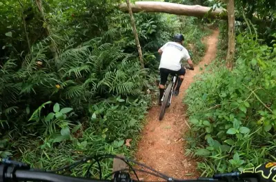 Desde Palm Cove, explora 60 km de senderos en Smithfield en bici
