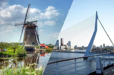Erleben sie rotterdams moderne architektur und die königlichen sehenswürdigkeiten von den haag bei einer privaten tagestour ab amsterdam. inkl. hoteltransfer, expertenführung & flexible zeiten.