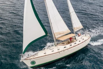 Salpa da charlotte amalie verso buck island per uno snorkeling guidato tra tartarughe marine, pesci tropicali e la vita della barriera corallina. include bevande, snack e tutta l’attrezzatura.