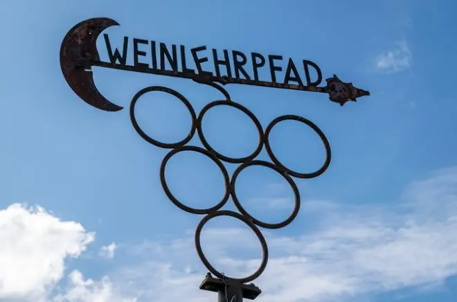 Sendero del vino en Schweigen-Rechtenbach por la ruta alemana