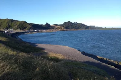 Explore the biobío river estuary and pedro del río zañartu museum with a local guide. includes private transport and museum entry. wheelchair accessible.