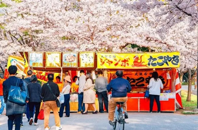 Gemme nascoste e fiori di ciliegio nel quartiere Karahori di Osaka