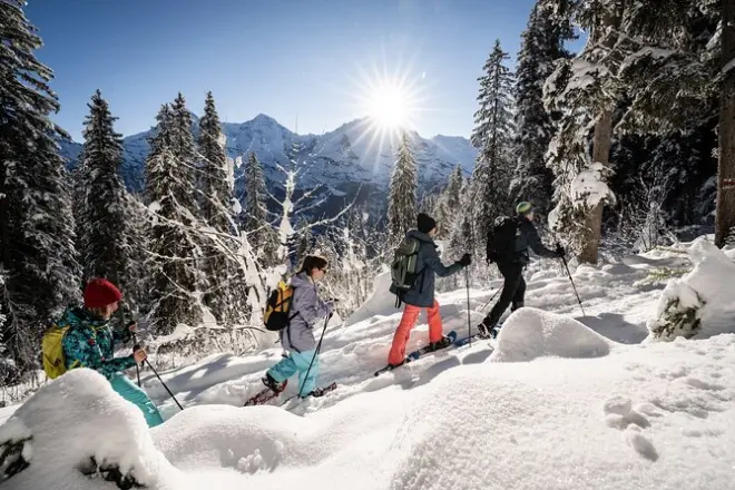 Sulwald snowshoe and sled tour: Fondue lunch included