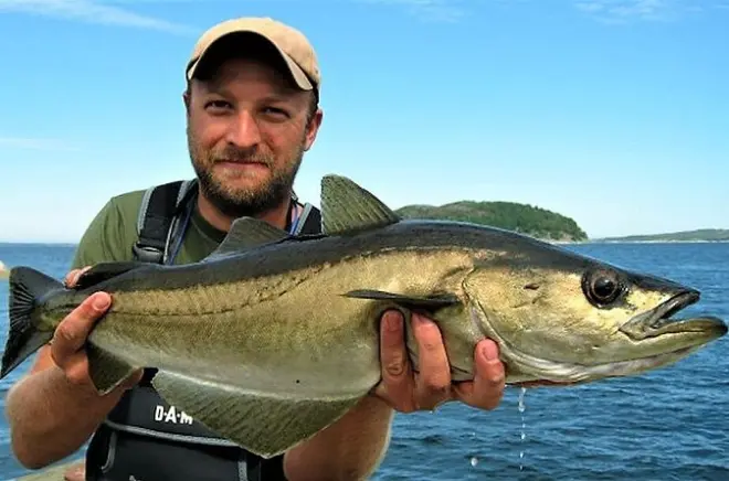 Pêche en mer à Donegal : Maquereau, requin et haute mer