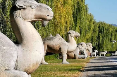 Scopri la storia imperiale di pechino con un tour privato alle tombe ming, la via sacra e il palazzo d’estate. include pick-up in hotel, ingressi e pranzo.