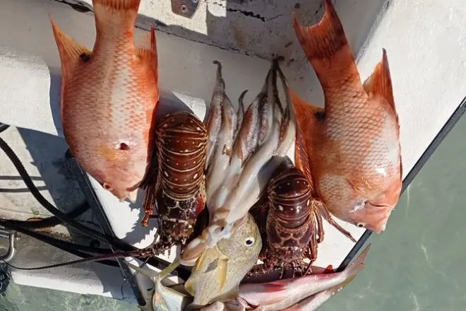 Pesca privada de día completo en Ambergris Caye: Arrecife y canales