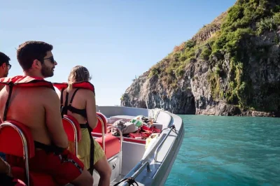Experience funchal’s coast by speedboat with a local guide, dolphin & whale watching, and a swim in clear madeira waters. includes snorkeling gear & small group.