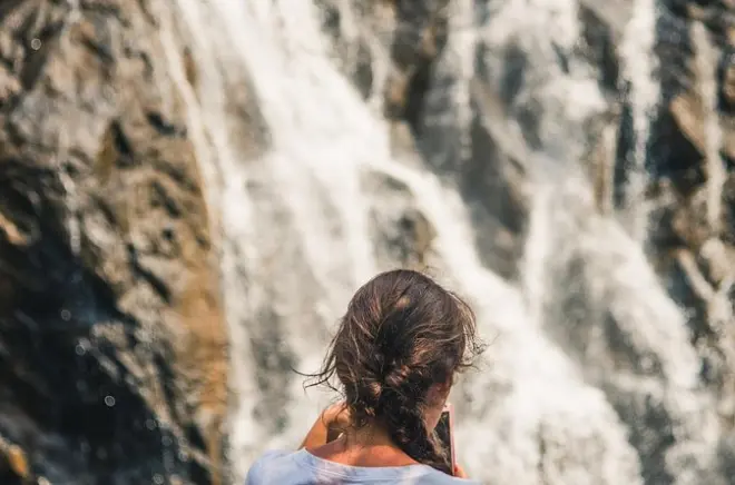 Dudhsagar Falls & Spice Farm Tour in Goa: Private Jeep Safari
