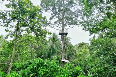 Fly through koh samui’s rainforest on a zipline adventure with hotel pickup, expert guides, and all safety gear included. experience treetop views and local hospitality.