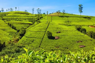Tour privado de 3 días por Sri Lanka: Auto o van con conductor