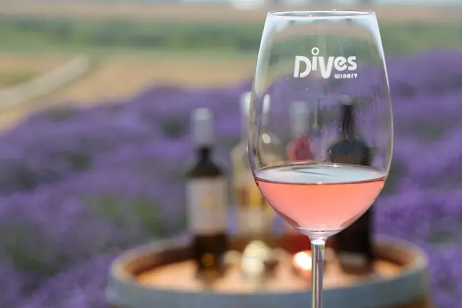 DiVes Winery Lavendel-Tour: Duftprobe von 5 Sorten