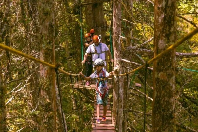 Experience campos do jordão’s treetop circuit with 15 crossings, a 130m zip line, and local guides. includes all safety gear and expert support for your adventure.