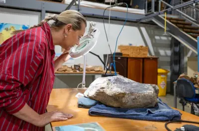 Queensland Dinosaurier: 95 Millionen Jahre alte Knochen erleben