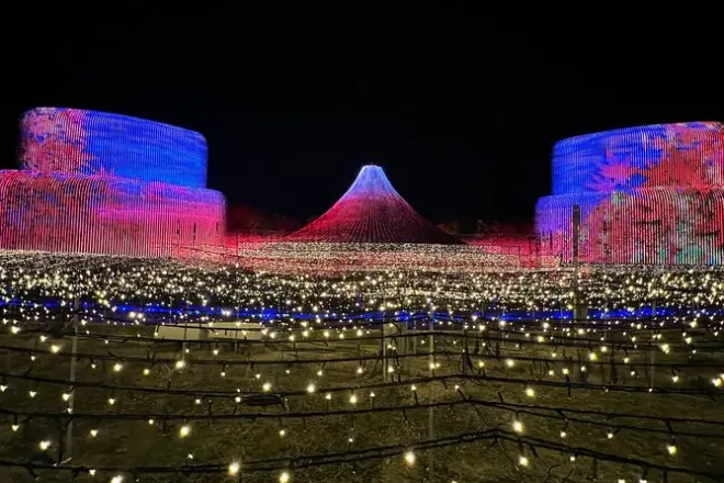 Nabana no Sato Illuminationen ab Nagoya: Privat mit Guide