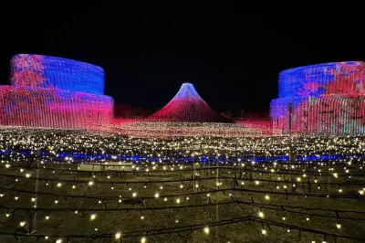 Illuminations de Nabana no Sato depuis Nagoya : Privé avec guide