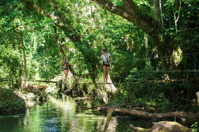 Explore vanuatu’s eden on the river with a local guide, cross rainforest suspension bridges, swim in clear water, and enjoy light refreshments. includes all fees.