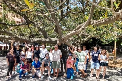 Descubra buenos aires, do colorido caminito ao teatro colón, com guia local e transfer do hotel. inclui degustação de doce de leite argentino autêntico.