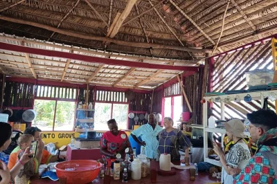 Experience garifuna culture in hopkins, belize—cook traditional hudutu, explore herbal gardens, and join a drumming session with local guides. includes lunch and lagoon crossing.