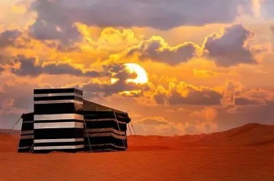 2-Day Wahiba Sands Desert Tour from Muscat: Overnight Camping