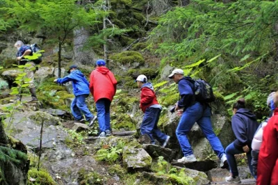 Step onto the chilkoot trail from skagway, hike through gold rush history, then float down dyea’s river valley. includes port pickup, snacks, and guide.