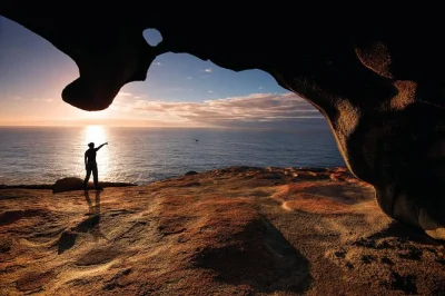 Experience kangaroo island’s wild side—see sea lions at seal bay, explore flinders chase, and visit remarkable rocks. includes hotel pickup, lunch, and guide.