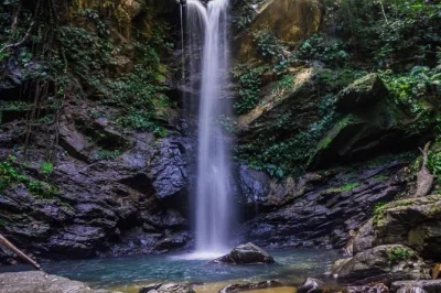 Experience avocat waterfall with a local guide, swim in rainforest pools, and relax at maracas beach with trinidad’s famous bake n shark sandwich included.