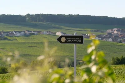 Explore champagne’s unesco hillsides near epernay, visit family producers, taste grand cru & premier cru champagnes, and enjoy private pickup with a local guide.