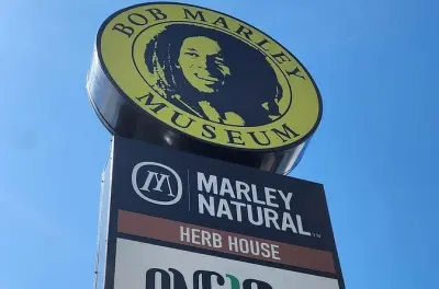 Museo Bob Marley desde Montego Bay: Tour privado de día completo