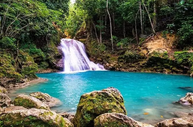 Blue Hole Jamaika: Regenwaldwanderung, Klippensprung & Schlammbad