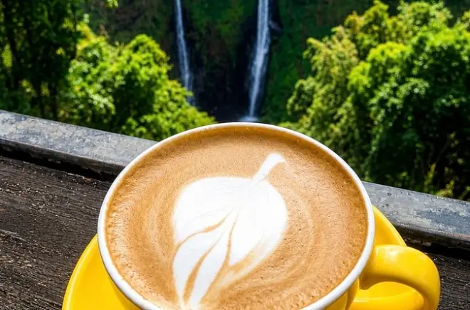 Tour del plateau di Bolaven con caffè e cascate da Pakse