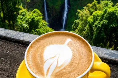 Bolaven Plateau Coffee & Waterfalls Tour from Pakse