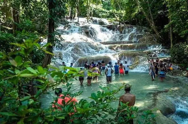 Dunn's River Falls & Luminous Lagoon Private Tour