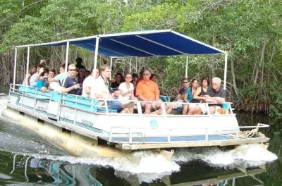 Tour costa sud: Safari sul Black River e visita a Pelican Bar