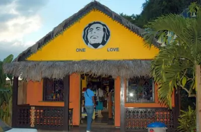 Cascate Dunn's River e Bob Marley Nine Mile: Tour privato