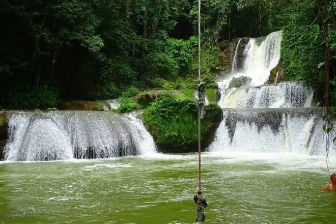 Black River Safari, Appleton Estate & YS Falls: Private Tour