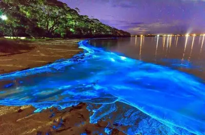 Leuchtende Lagune und Rose Hall Great House Abendtour ab Montego Bay