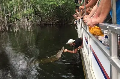 Black River Safari: Krokodile & 100 Vogelarten