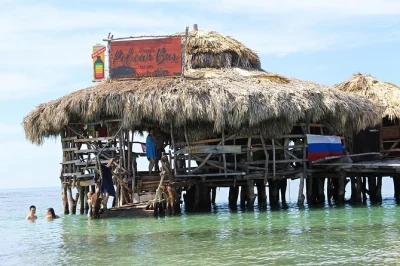 Experience ys falls, cruise black river safari, and relax at floyd's pelican bar with private transport from montego bay. includes local driver and flexible pickup.