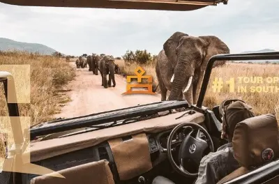 Safari en Pilanesberg: Recorrido de 3 horas por la reserva Big 5