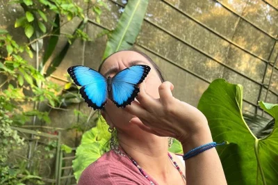 Experience cali’s butterfly garden with over 500 mariposas, guided by locals. includes entry, expert guide, and health insurance for a worry-free visit.