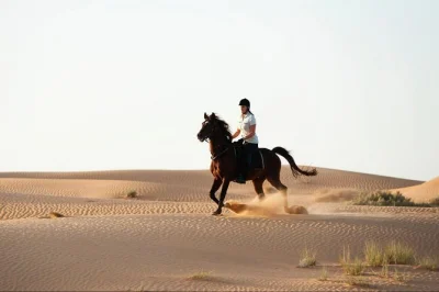 Explorez les dunes dorées du désert de dubaï à cheval avec un guide local, transfert depuis votre hôtel et rafraîchissements inclus. vivez la sérénité unique des sables arabes.