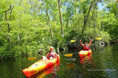 Drift through amelia island’s blackwater creeks by kayak, spot cypress trees & birds, and paddle at your own pace. includes all gear & friendly local support.