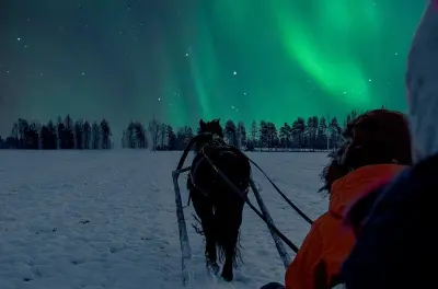 Traîneau à cheval nocturne à Rovaniemi avec chance d’aurores