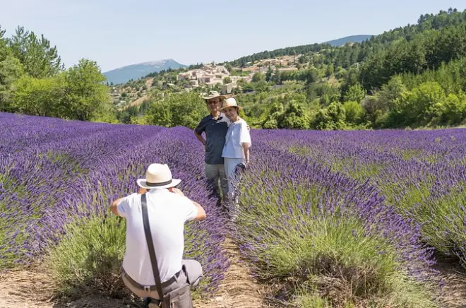 Gordes e Senanque: Lavanda in Provenza da Avignone, giornata intera