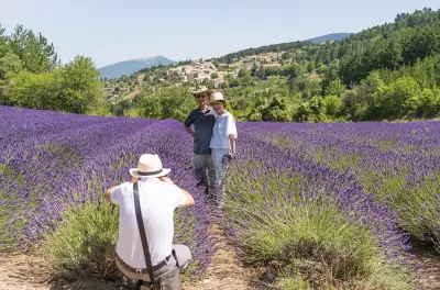 Provence Lavendel-Tagesausflug ab Avignon: Gordes & Senanque