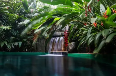 Arenal Hot Springs with Meal from San Jose: 25 Thermal Pools