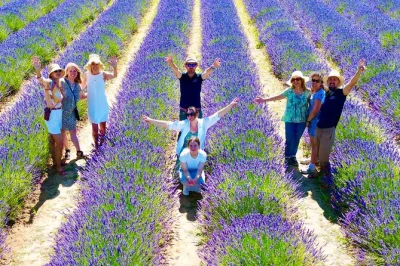 Breathe in the scent of provence’s lavender fields on a small group tour from aix-en-provence, with photo stops, local guide and air-conditioned minibus transport included.